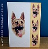 German Shepherd Card Simply Elegant Range